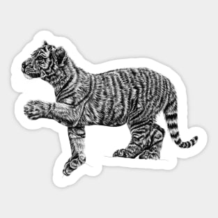 Amur tiger cub Sticker